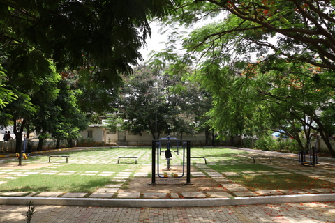 Park Next to Site